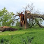storm uring philippines damage